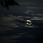 Vollmond beim Versteckspiel