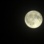 _ Vollmond _