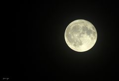 _ Vollmond _