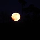 Vollmond!!!