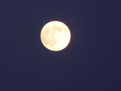 Vollmond