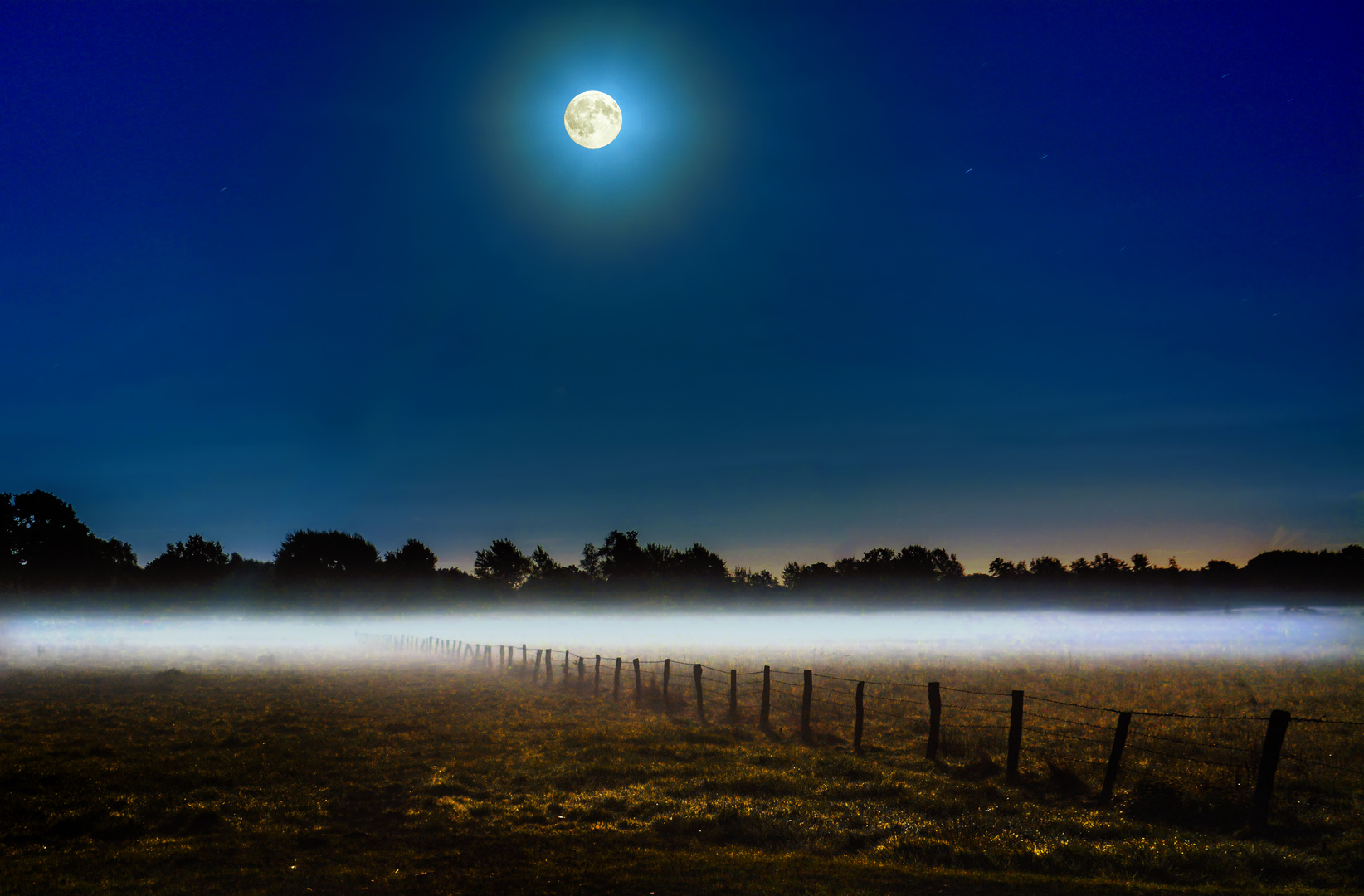 Vollmond, die Weide, der Bodennebel