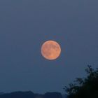 Vollmond extra für Andreas ohne den Schuppen und ohne Castagneta Carducci