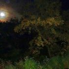 Vollmond - Herbst