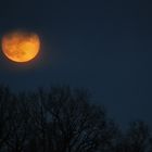 Vollmond heute abend