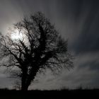 Vollmond hinter Wolken