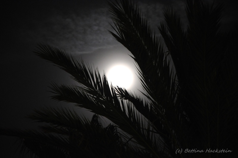 Vollmond I- Baila Morena, sotto questa luna piena;)