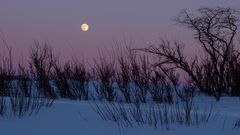 Vollmond im Fjäll