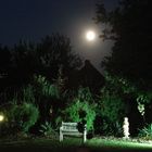 Vollmond im Garten