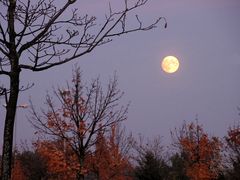 Vollmond im Herbst