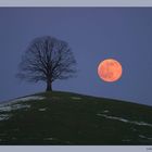 Vollmond im Januar