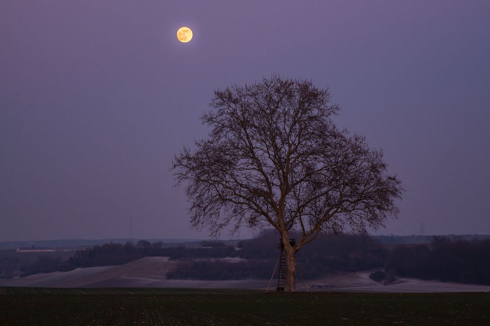 Vollmond im Januar Foto & Bild mondaufnahmen, himmel & universum