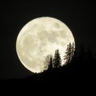 Vollmond im Lechtal 