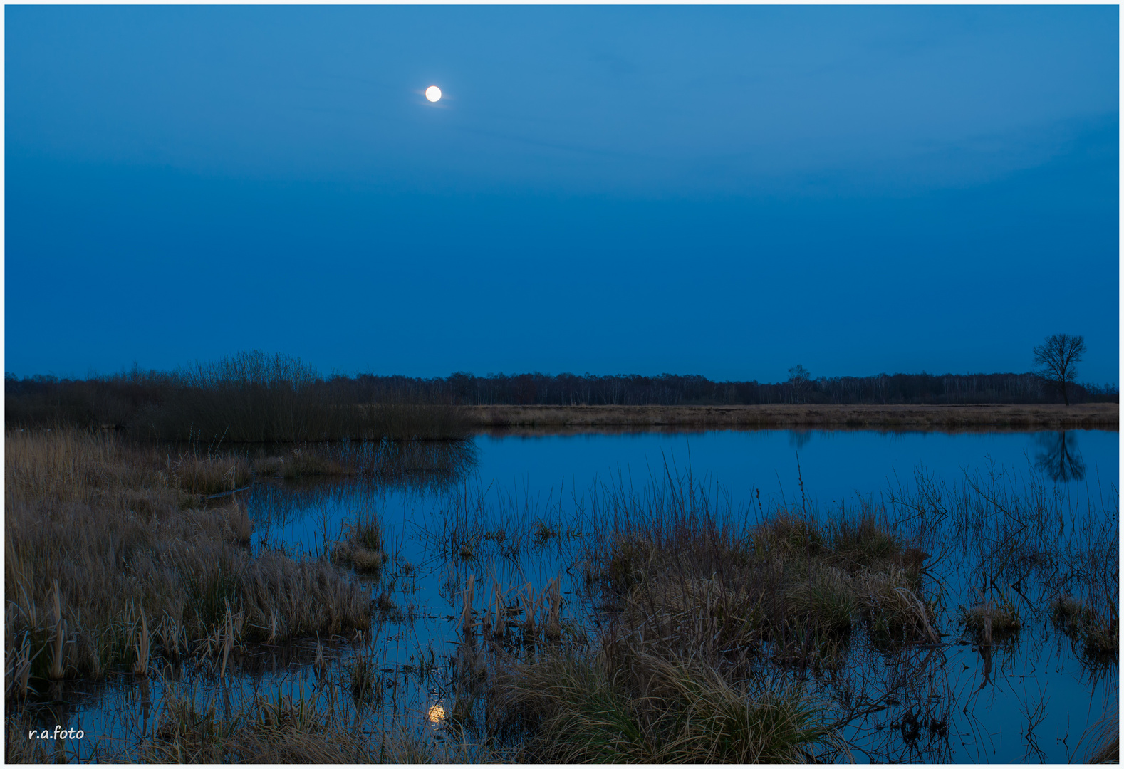 Vollmond im Moor