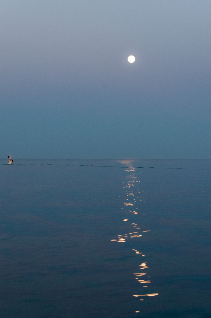 Vollmond im Morgenlicht