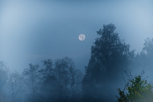 Vollmond im Morgennebel