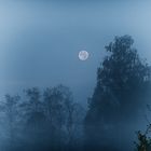 Vollmond im Morgennebel