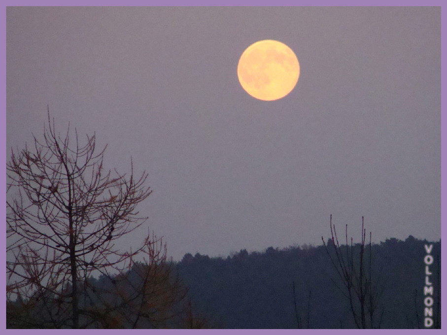 Vollmond im November