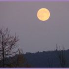 Vollmond im November