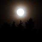 Vollmond im Rothaargebirge 