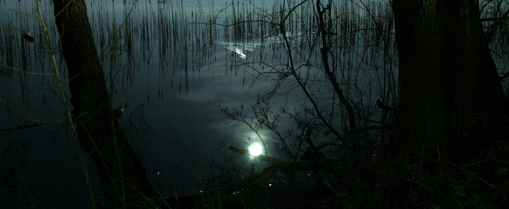 Vollmond im See