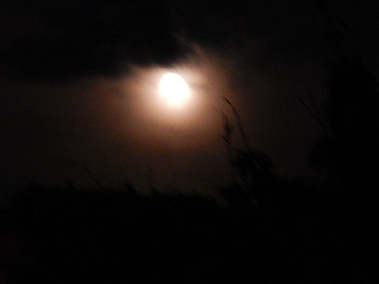 Vollmond Im September 2014 Foto Bild Mondaufnahmen Himmel