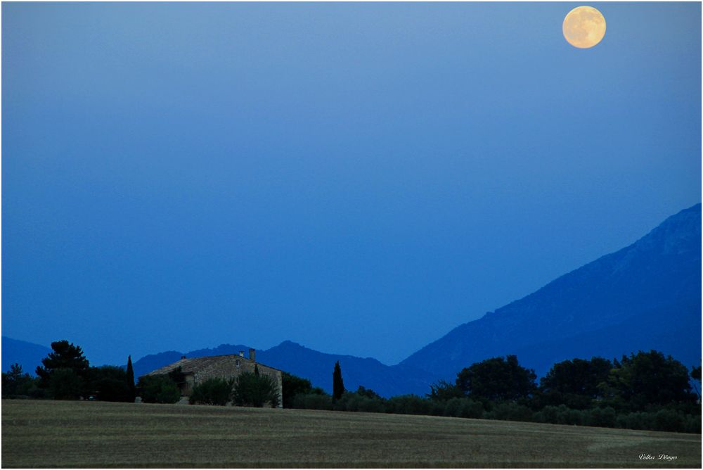 Vollmond im Valensole Provence