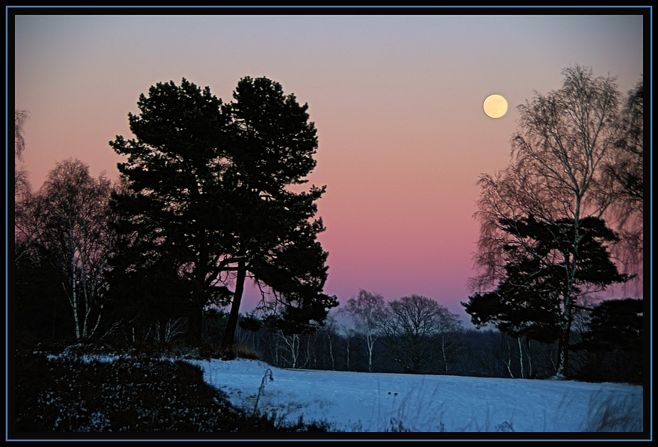 Vollmond im Winter