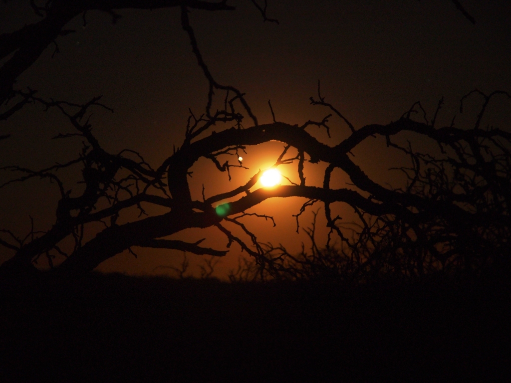 Vollmond in Argentina mit ...