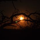 Vollmond in Argentina mit ...