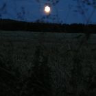 Vollmond in den Baumbergen, Münsterland am11.08.2014