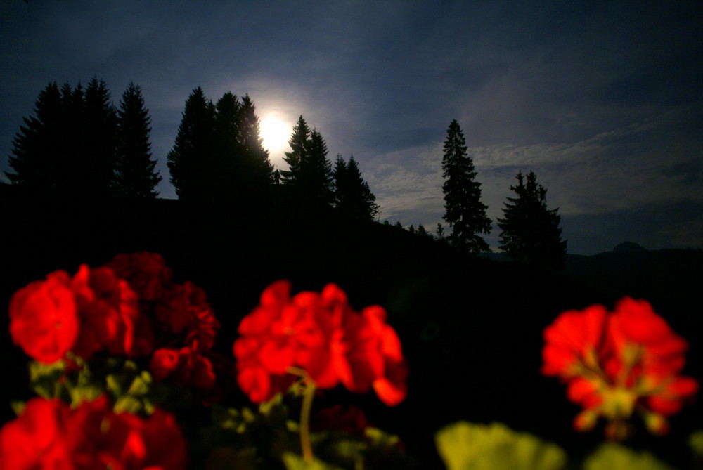 Vollmond in den Bergen