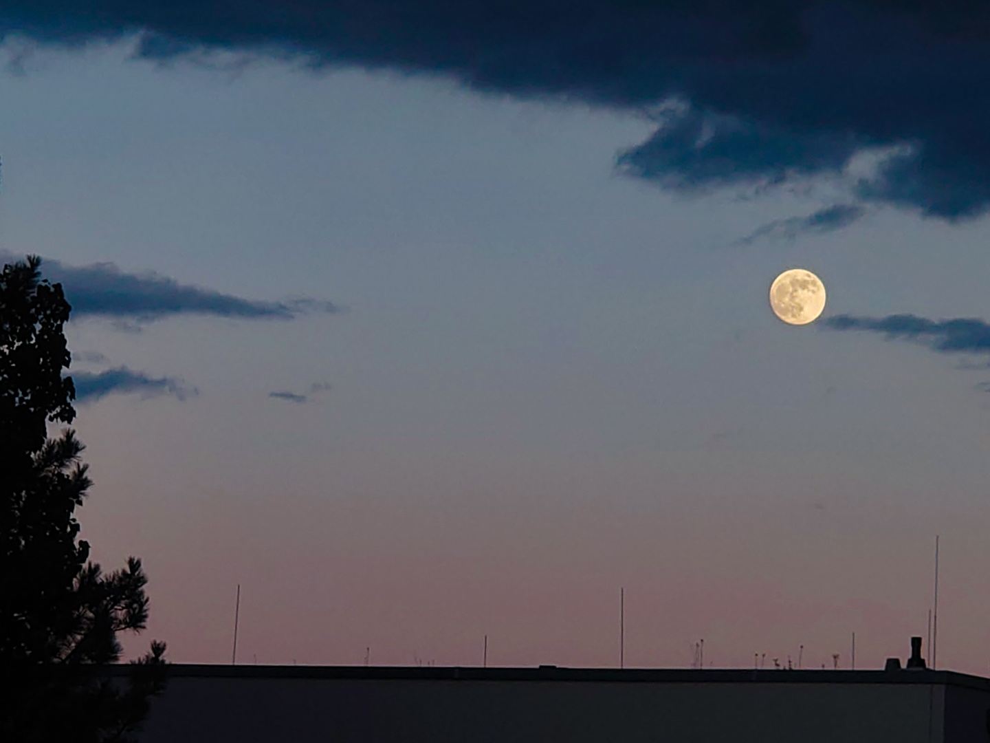 Vollmond in der blauen Stunde