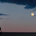 Vollmond in der blauen Stunde