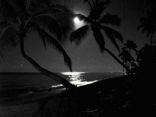 Vollmond in der DomRep