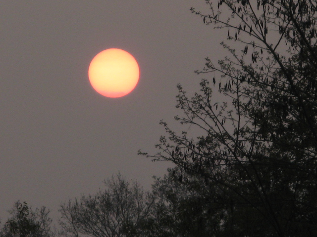 Vollmond in der Heide by Gerke R.M.L. 