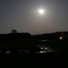 Vollmond in der Schorfheide