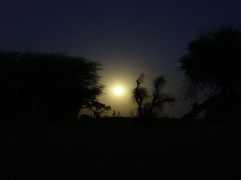 Vollmond in der Wüste Thar