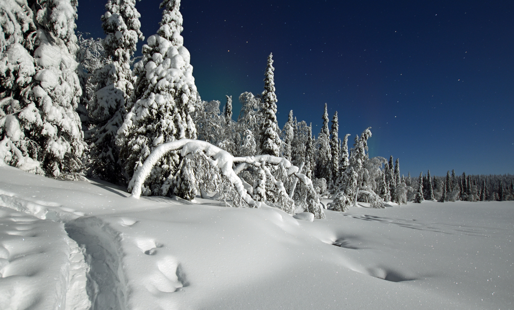 Vollmond in Lappland