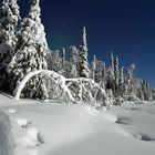 Vollmond in Lappland