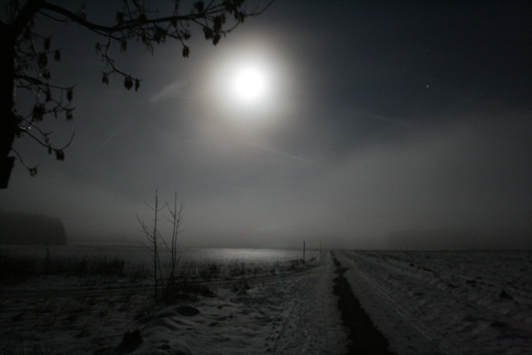 Vollmond in Nebelstimmung