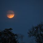 Vollmond in Oberschwaben