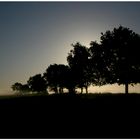 Vollmond in Ostfriesland