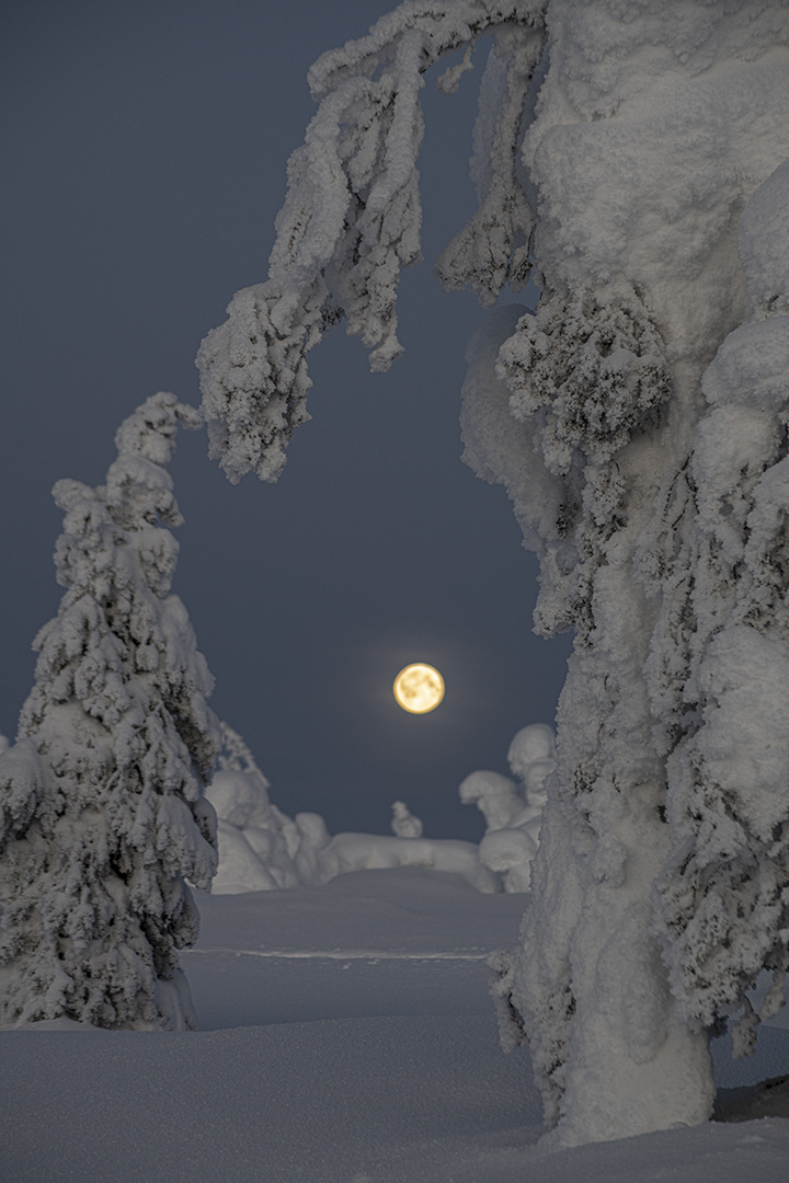 Vollmond in Riisitunturi 