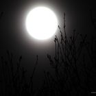 Vollmond in Scheeßel