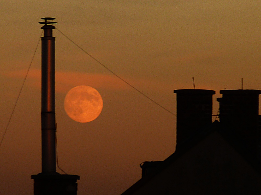 Vollmond in Wien...