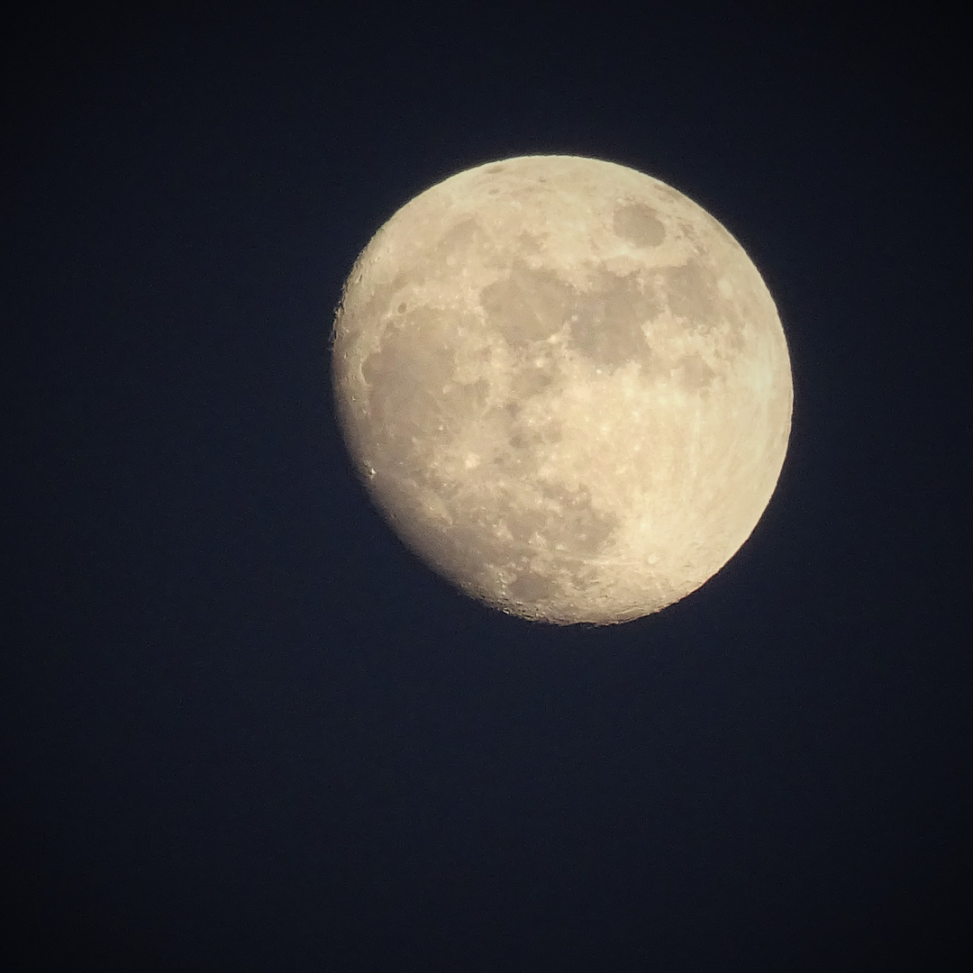 Vollmond Januar16