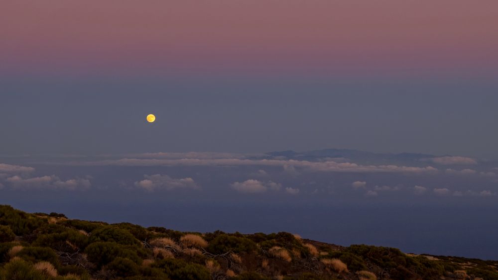 Vollmond - Las Cañadas del Teide