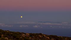 Vollmond - Las Cañadas del Teide