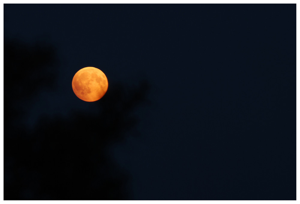 Vollmond mit Teilmondfinsternis